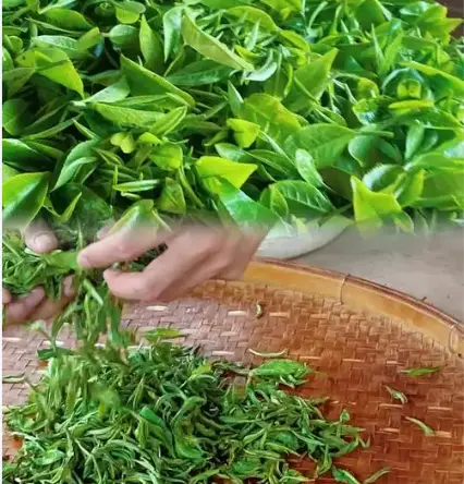 真诚同城约会去哪好？不尴尬的餐厅与活动推荐，我踩过的坑你别再踩了