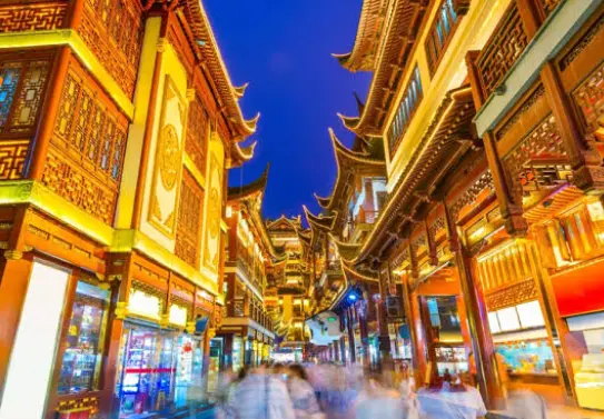 古树茶是什么意思？一篇文章让你彻底看懂这杯“能喝的古董”🍵