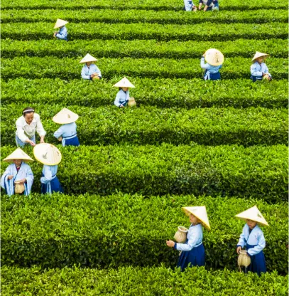 上海小资打卡地标避雷哪几家预约难体验差？替代方案我直接给你列出来😤