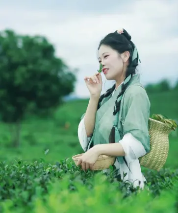 职场疗愈冥想瑜伽怎么选？别瞎练了，我踩过的坑比你上的课都多