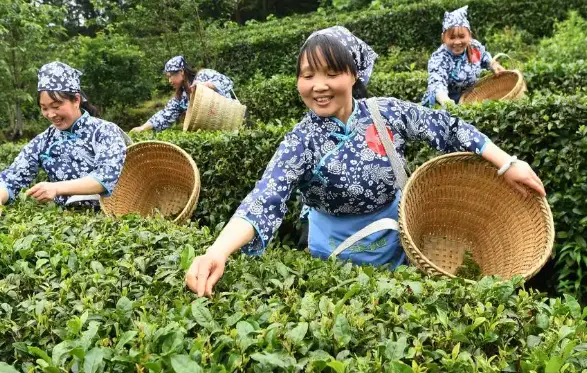 职场疗愈冥想瑜伽怎么选？别瞎练了，我踩过的坑比你上的课都多