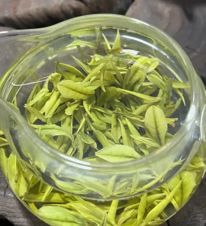 上海电影博物馆_漕溪北路老电影寻访；万体馆球迷聚会究竟藏着多少惊喜？🎬