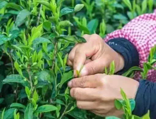 真诚同城约会去哪好？不尴尬的餐厅与活动推荐，我踩过的坑你别再踩了