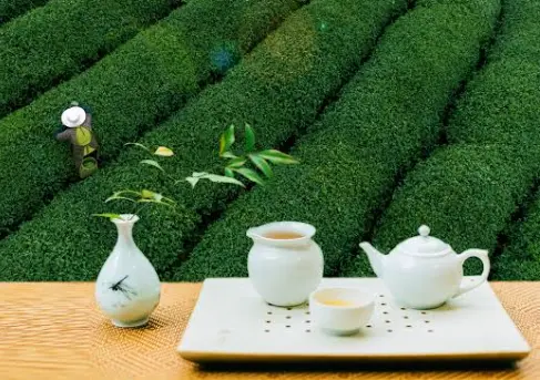 职场疗愈冥想瑜伽怎么选？别瞎练了，我踩过的坑比你上的课都多