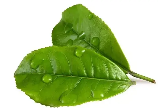 职场疗愈冥想瑜伽怎么选？别瞎练了，我踩过的坑比你上的课都多