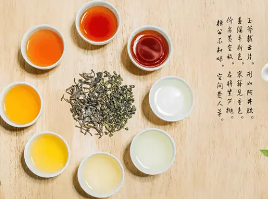 上海冬日暖锅-海南椰子鸡火锅清甜润燥，这口汤我连喝三碗才肯放勺